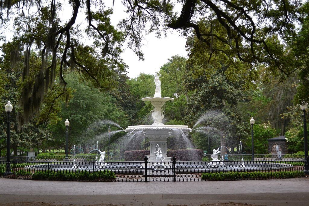 Delve into the Mystery of Savannah